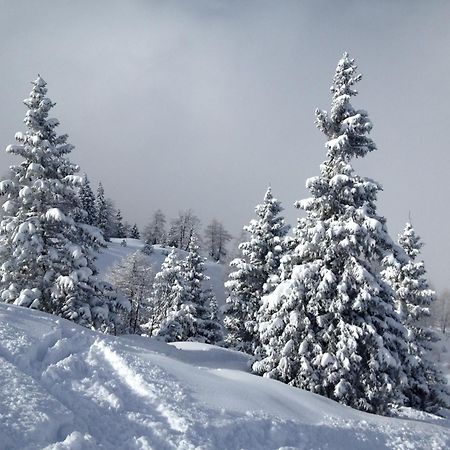 Hotel Lory - Molveno - Dolomiti Dış mekan fotoğraf